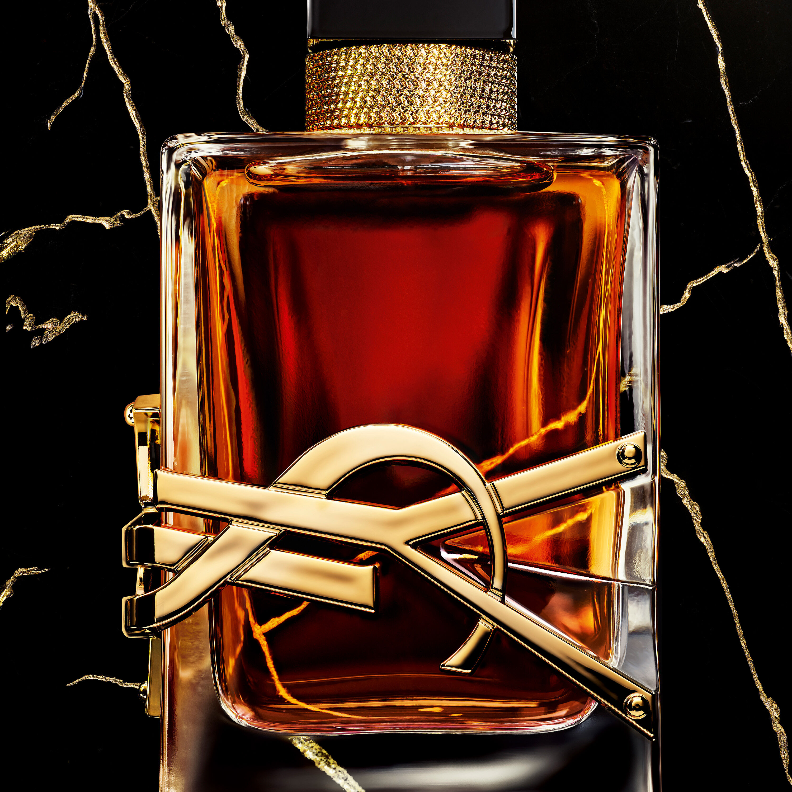 la libre ysl