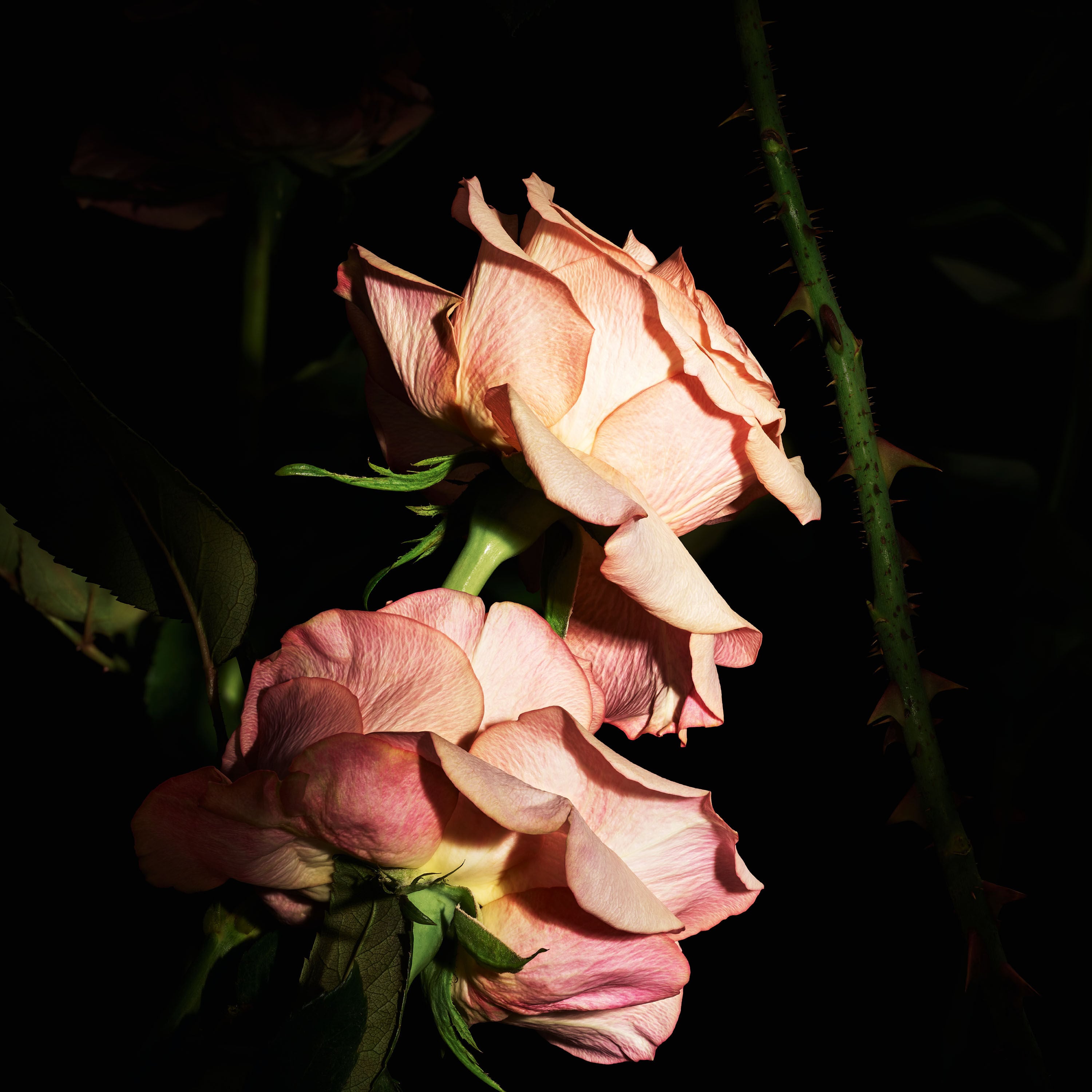 BLOUSE - LE VESTIAIRE DES PARFUMS