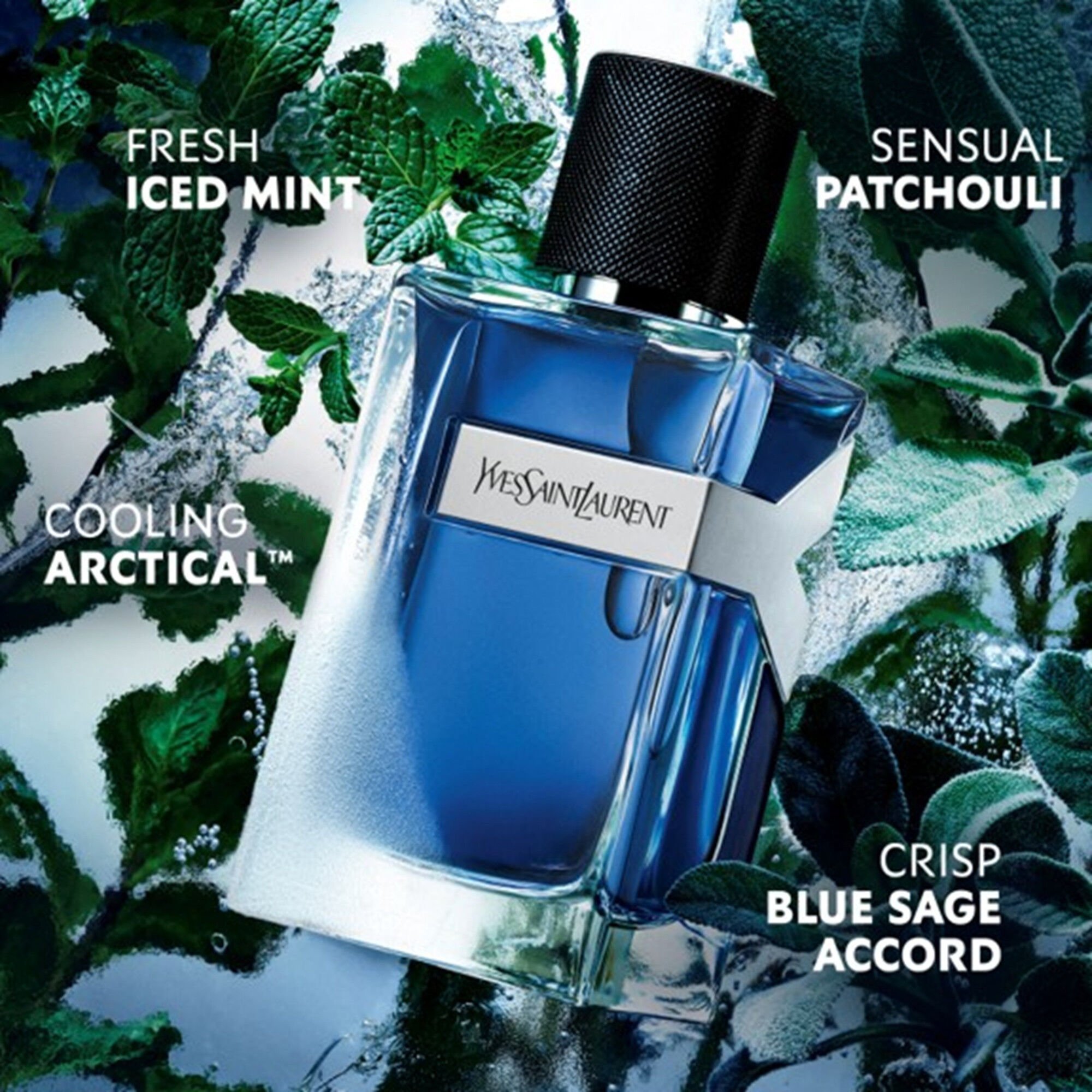 Y Iced Cologne