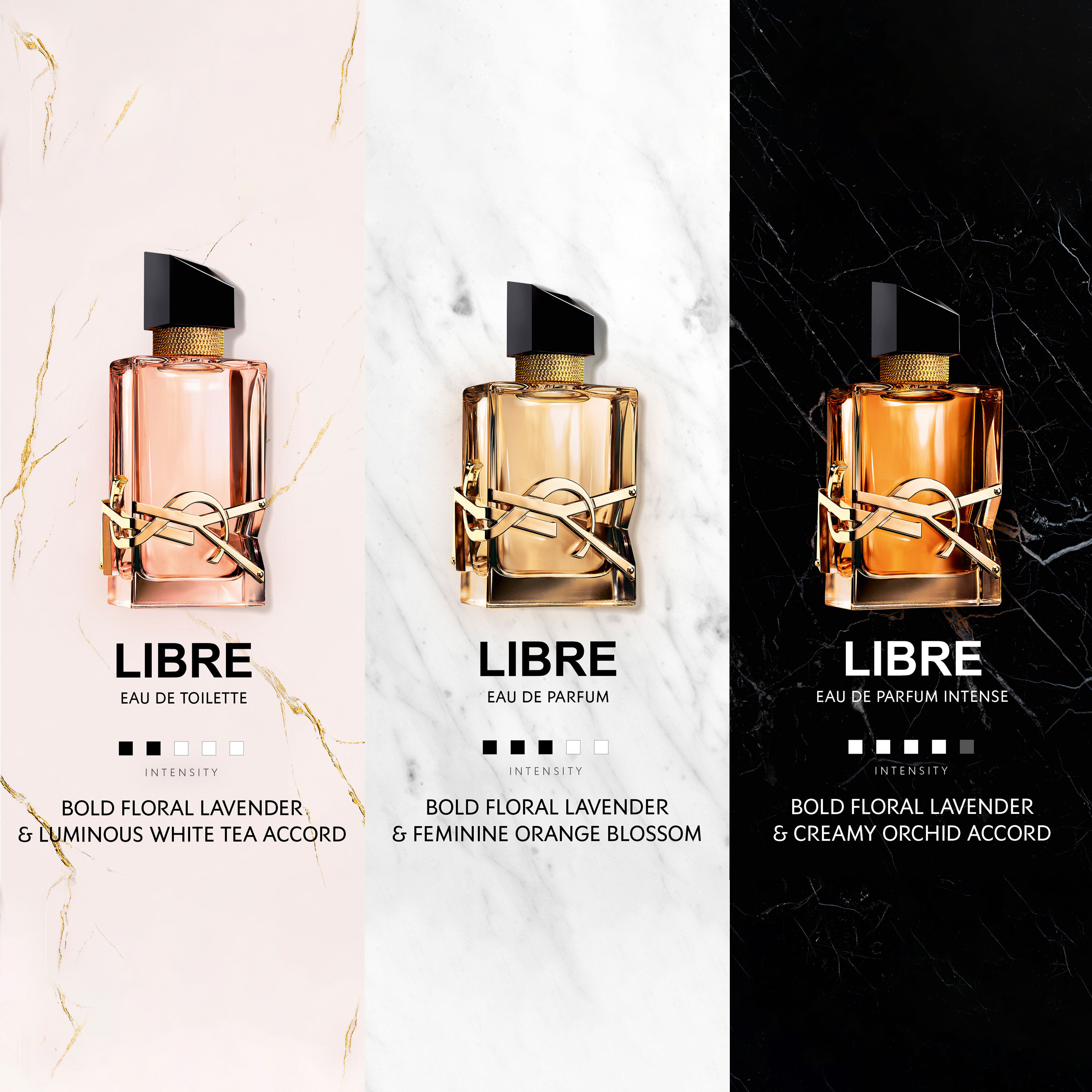 Libre Eau De Parfum Women's Fragrance 