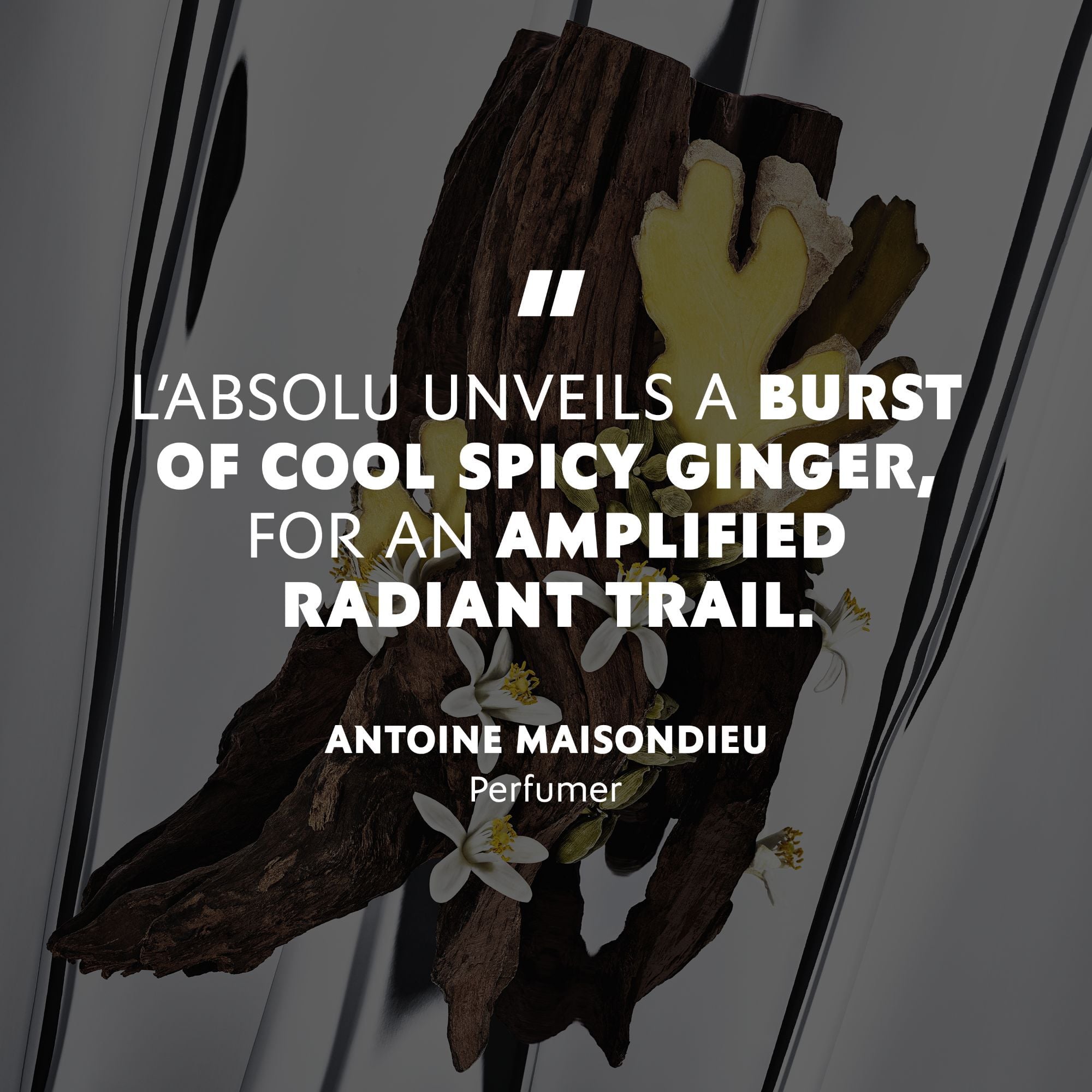 MYSLF ABSOLU