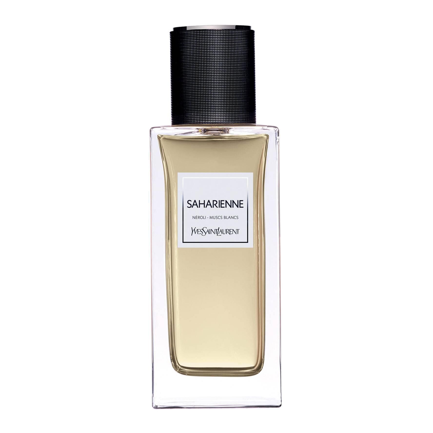 saharienne yves saint laurent amazon
