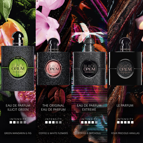 What Does Black Opium Smell Like 4 What Does Black Opium Smell Like