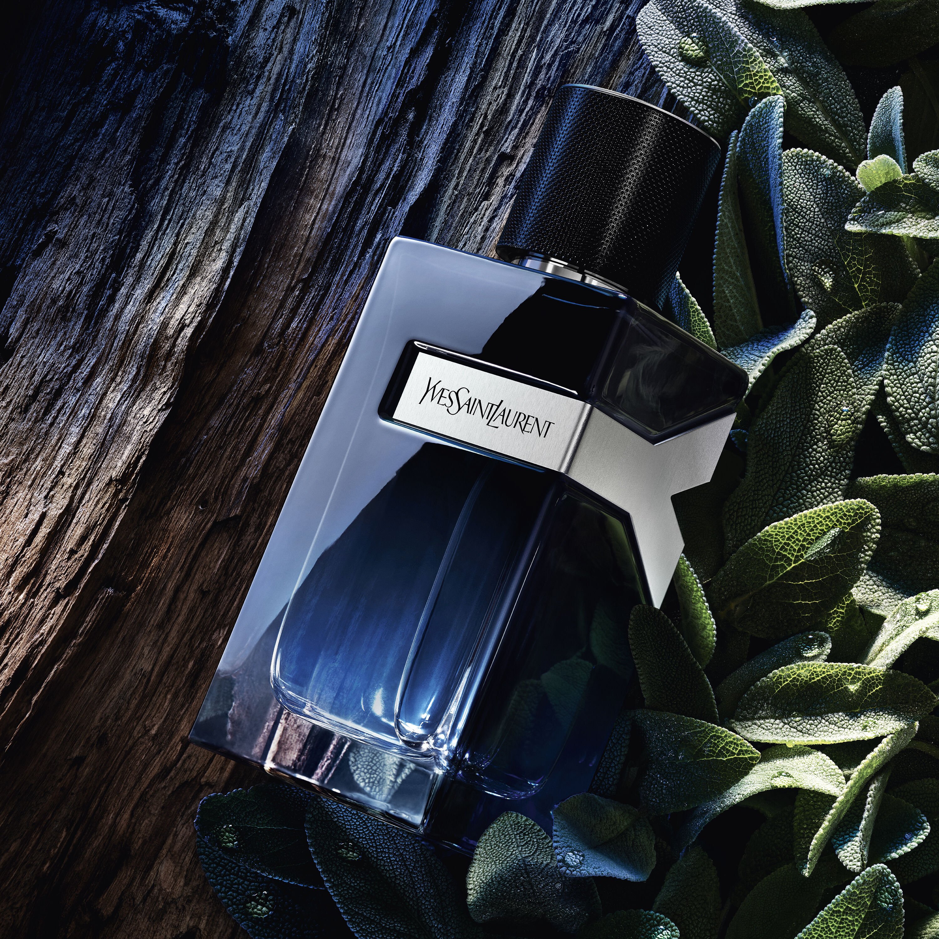 Ysl y cologne macys store