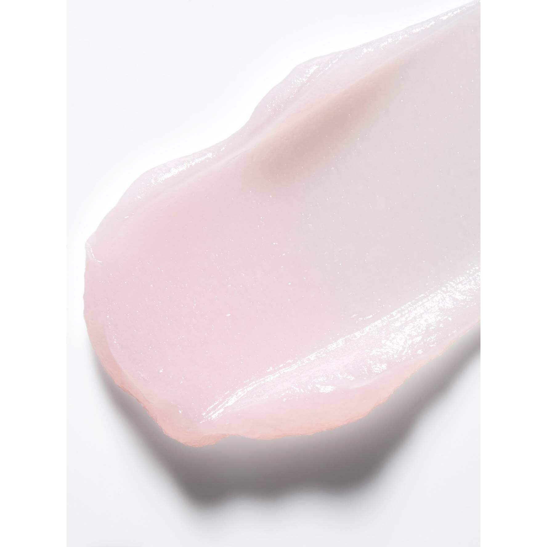 Top secrets lip perfector