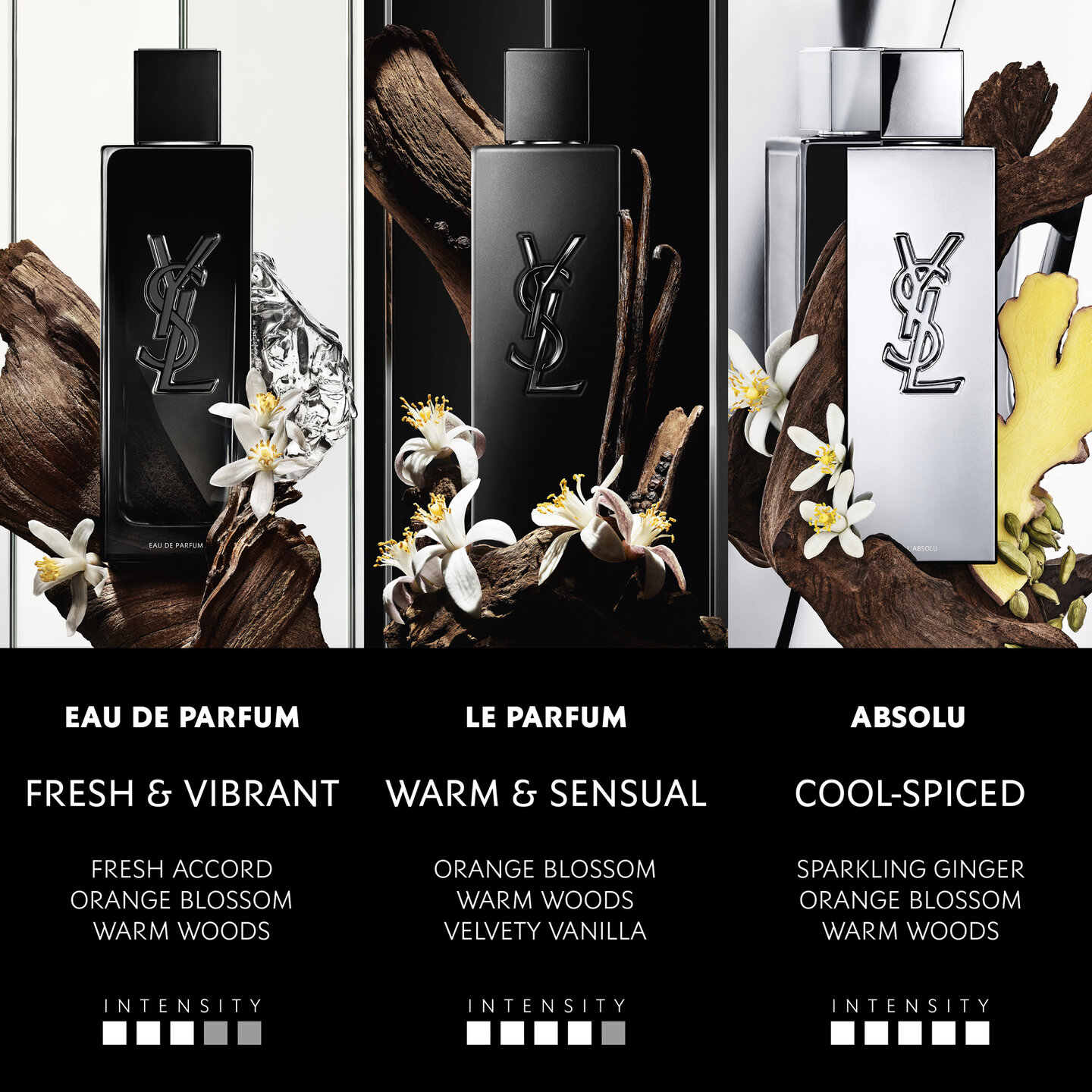 Ysl Intens MYSLF Absolu - Men's Intense Ginger Fragrance - YSL Beauty