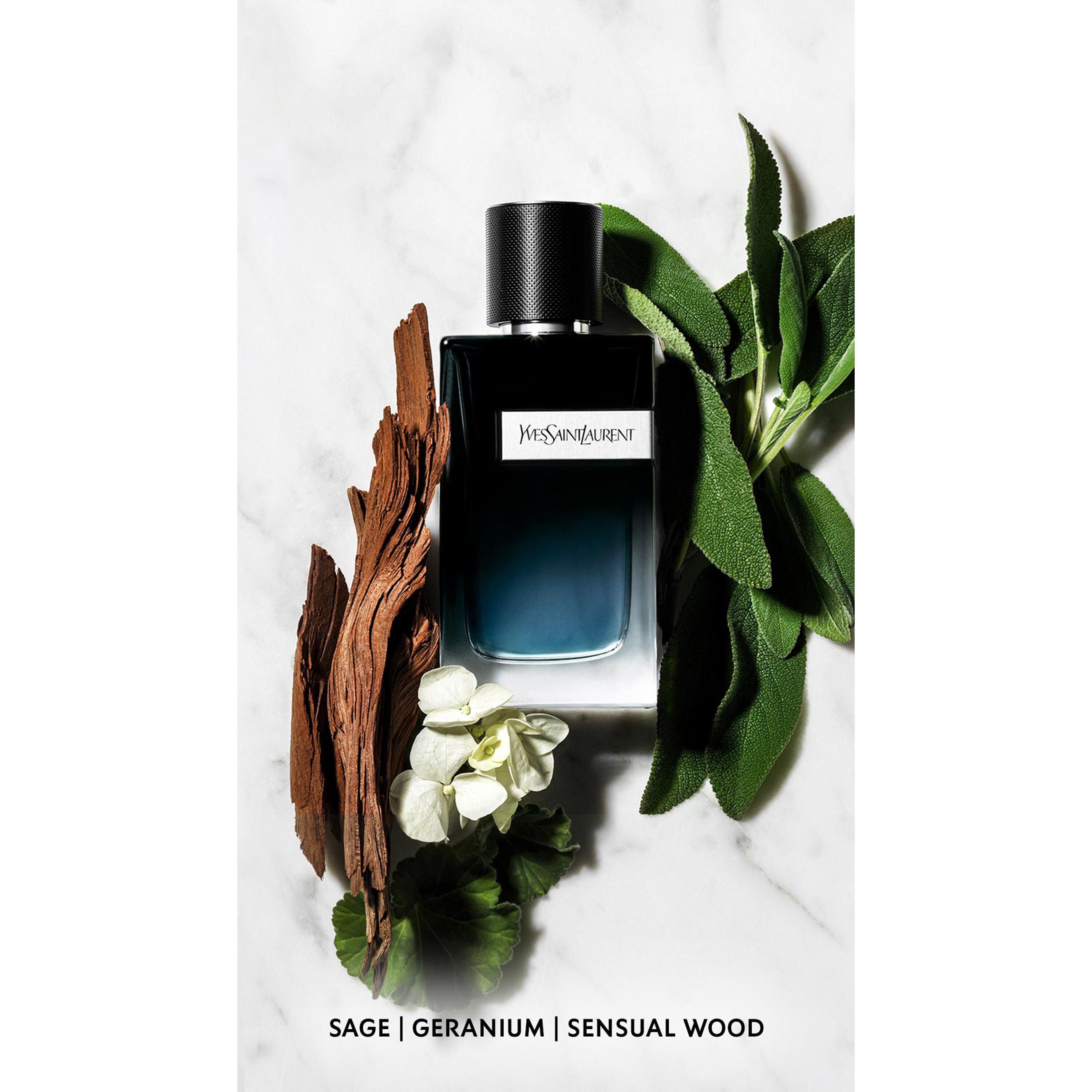 ysl perfume y edp