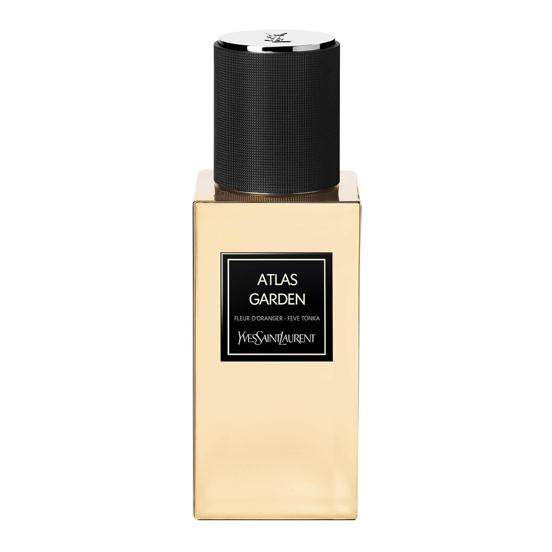 Ysl oriental collection clearance