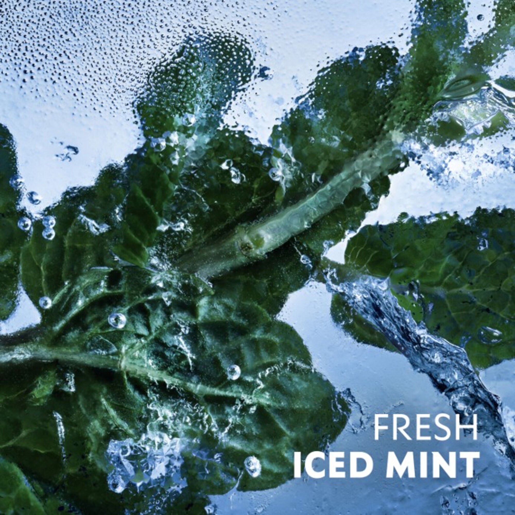 Y Iced Cologne