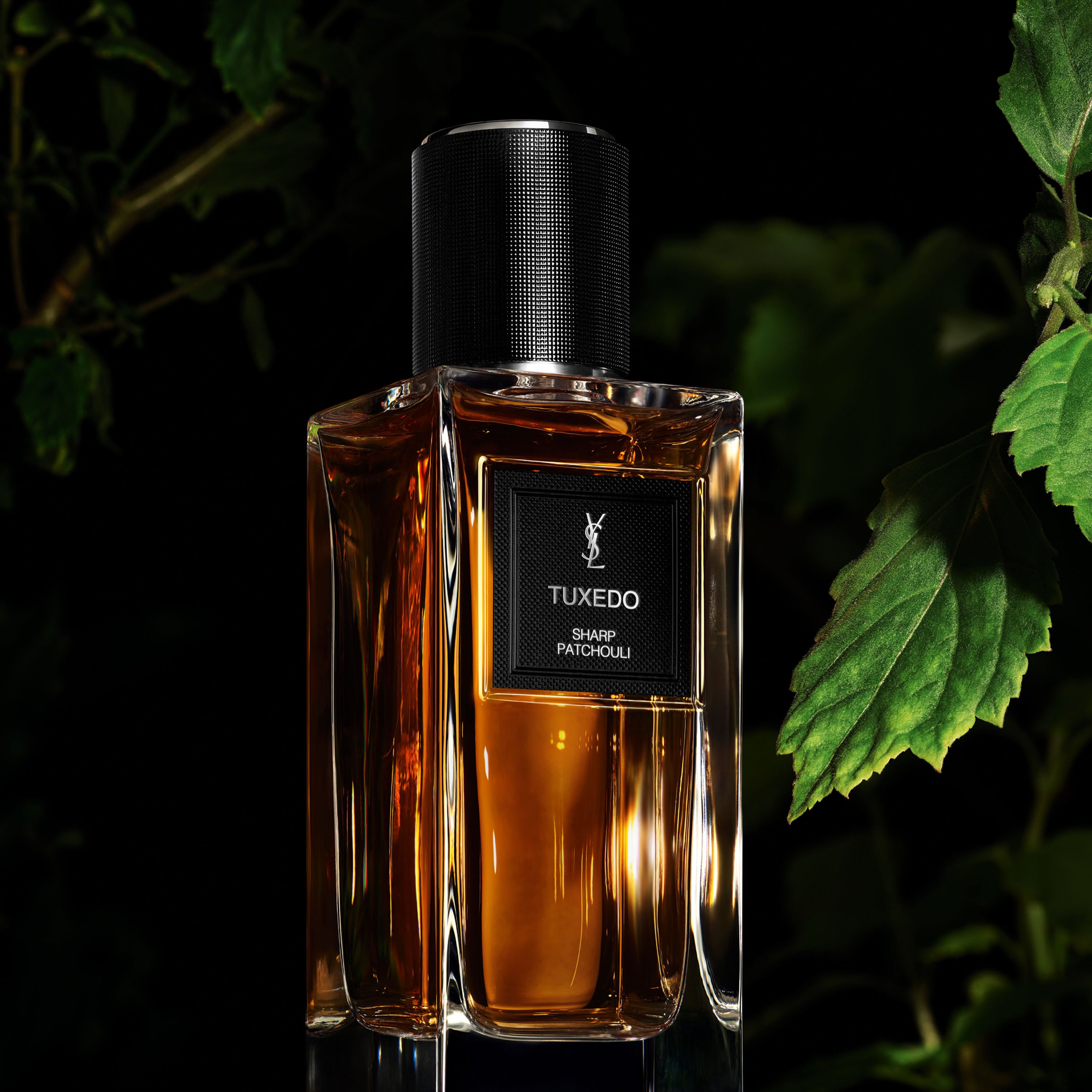 TUXEDO - LE VESTIAIRE DES PARFUMS