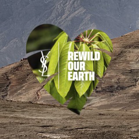 Heart-shaped image with a background of mountains and the text 'REWILD OUR EARTH.'