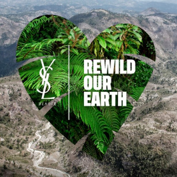 Heart-shaped collage of green foliage with the text 'REWILD OUR EARTH' and YSL logo.