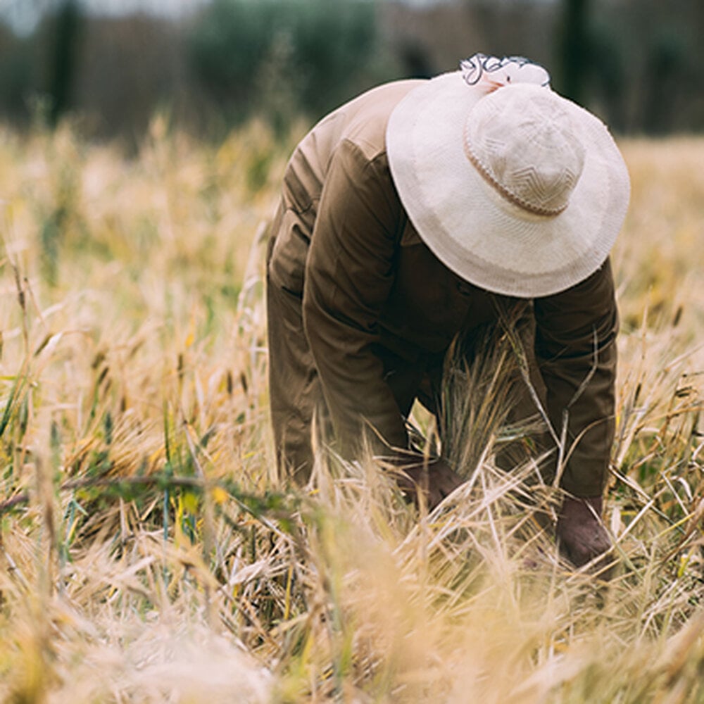 A person working in a field.