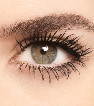 Close-up of an eye with mascara applied to the lashes.