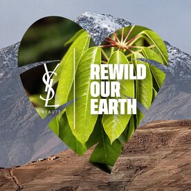 Heart-shaped image with 'REWILD OUR EARTH' text, featuring green foliage and a mountainous background.