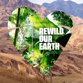 Heart-shaped image with 'REWILD OUR EARTH' text, featuring green foliage and a mountainous background.