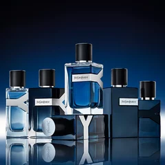 Y Collection