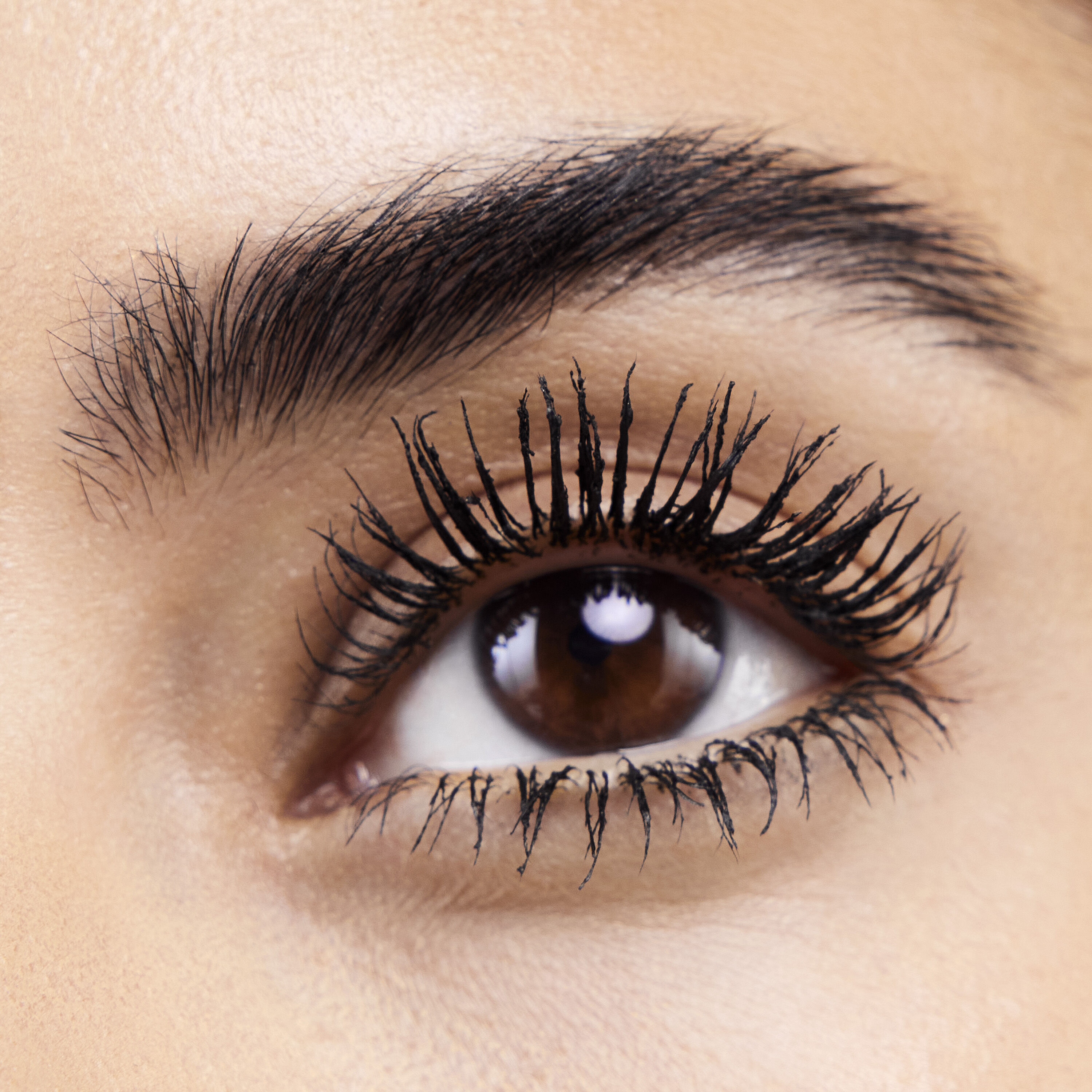 Close-up of an eye with long, voluminous eyelashes and well-groomed eyebrows.