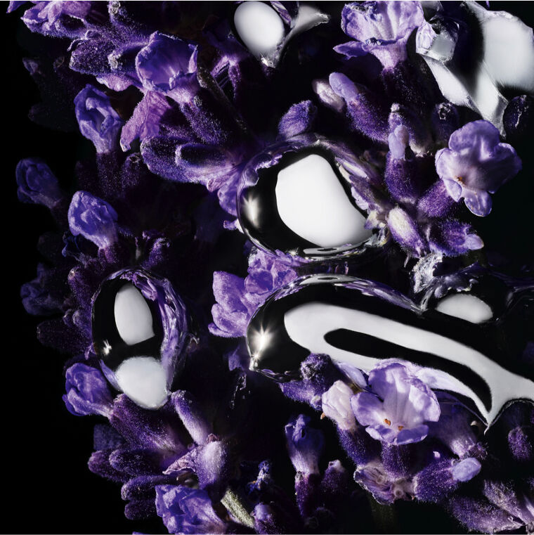 Close-up of purple lavender flowers with metallic accents.