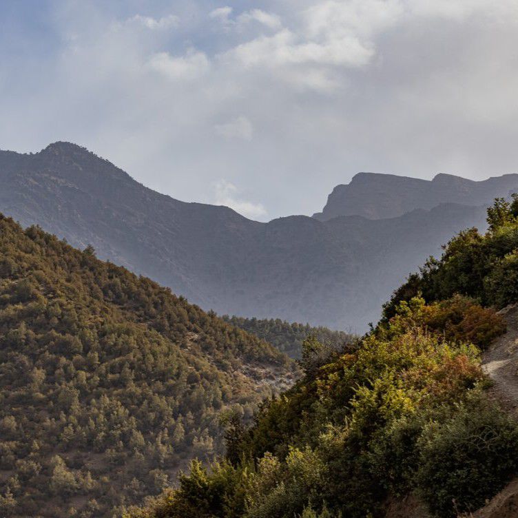 A person sitting at a desk in a room with an arched doorway.