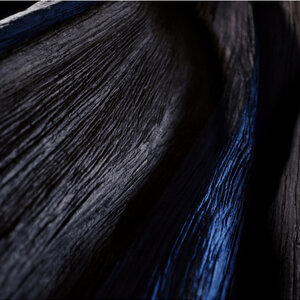 Close-up of dark, textured wood grain with deep grooves and a blue hue.