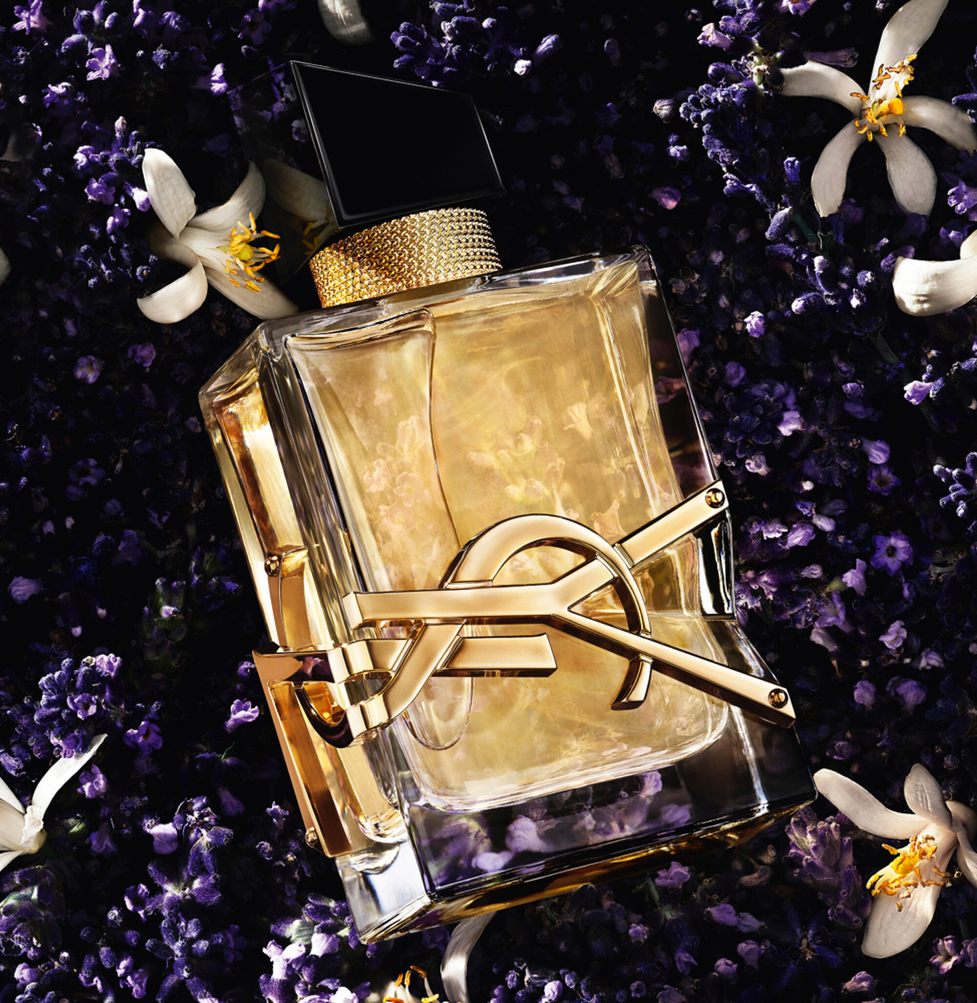 Libre EDP Ingredients
