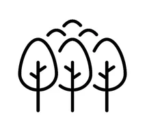 Icon of three trees with curved lines above them.