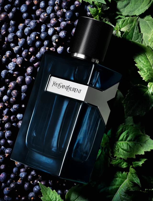 Yves Saint Laurent perfume bottle with dark blue liquid, surrounded by juniper berries and green leaves.