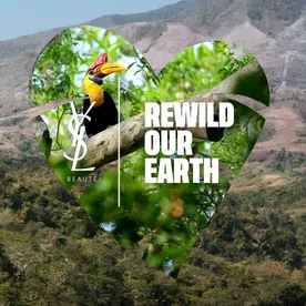 Heart-shaped image with a bird and text 'REWILD OUR EARTH' on a natural background.