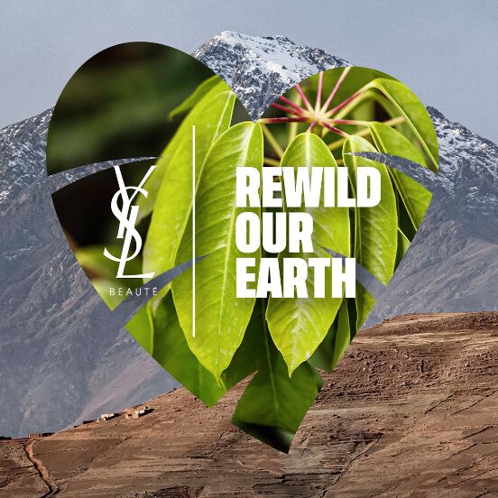 Heart-shaped collage with the text 'REWILD OUR EARTH' and YSL logo, featuring leaves and a mountain background.
