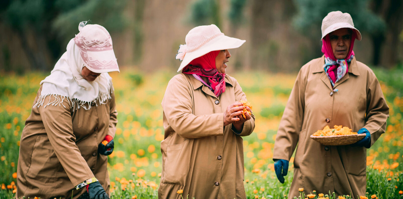 Three people in brown coats and hats picking flowers in a field.