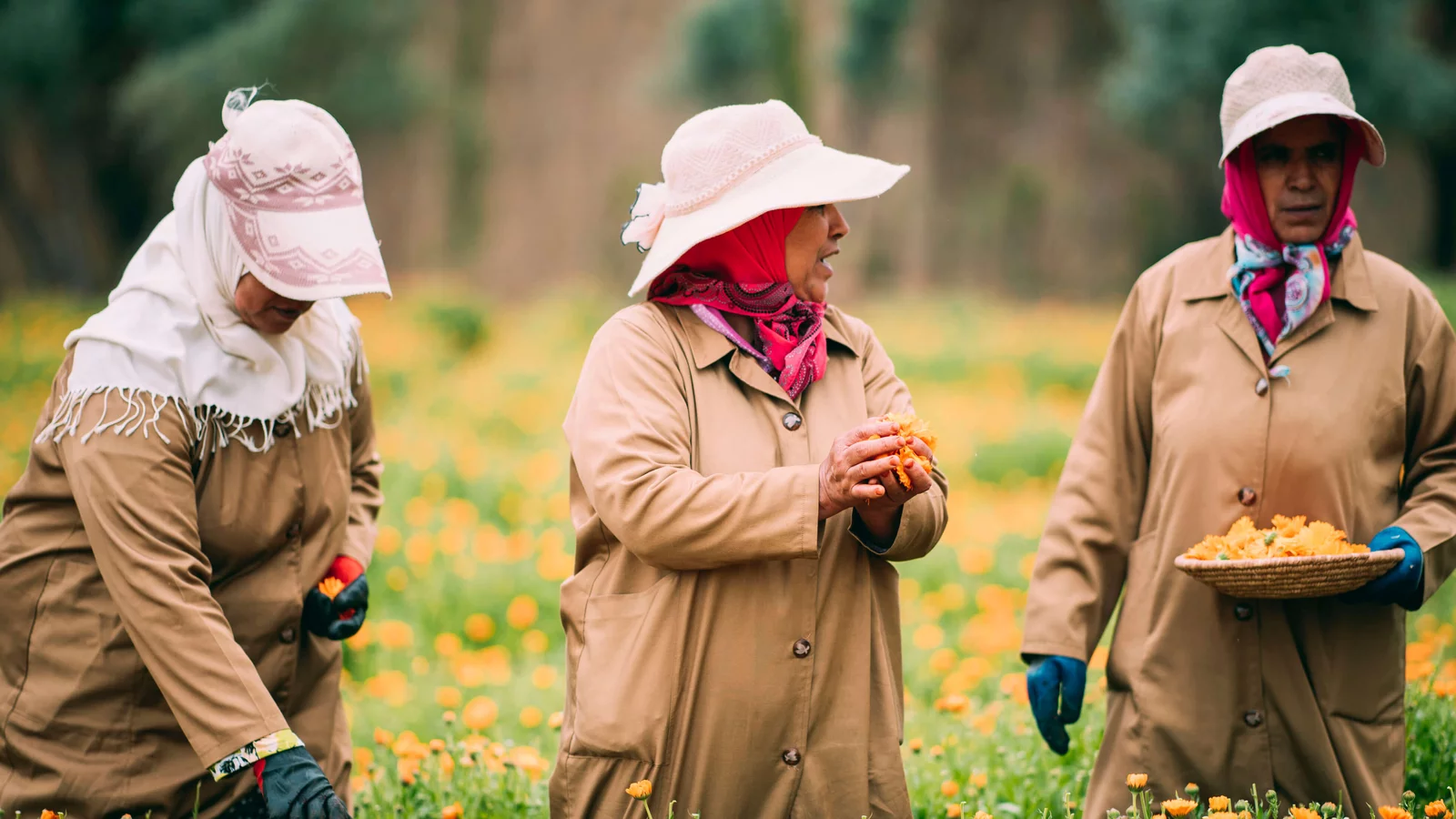 Three people in brown coats and hats picking flowers in a field.