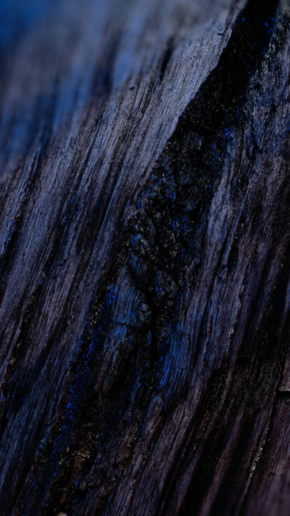 Madeira Oud Sensual, o ouro da perfumaria internacional, traz solidez à esse perfume masculino único Madeira Oud, ingrediente premium de Y Elixir