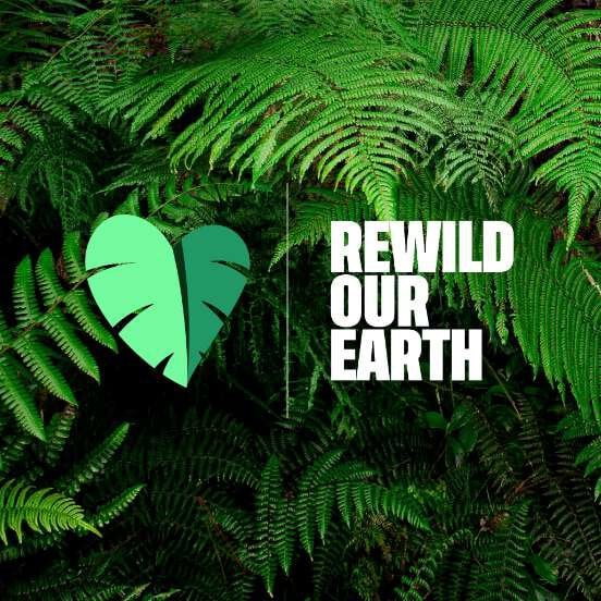 A green heart-shaped leaf and the text 'Rewild Our Earth' against a background of ferns.