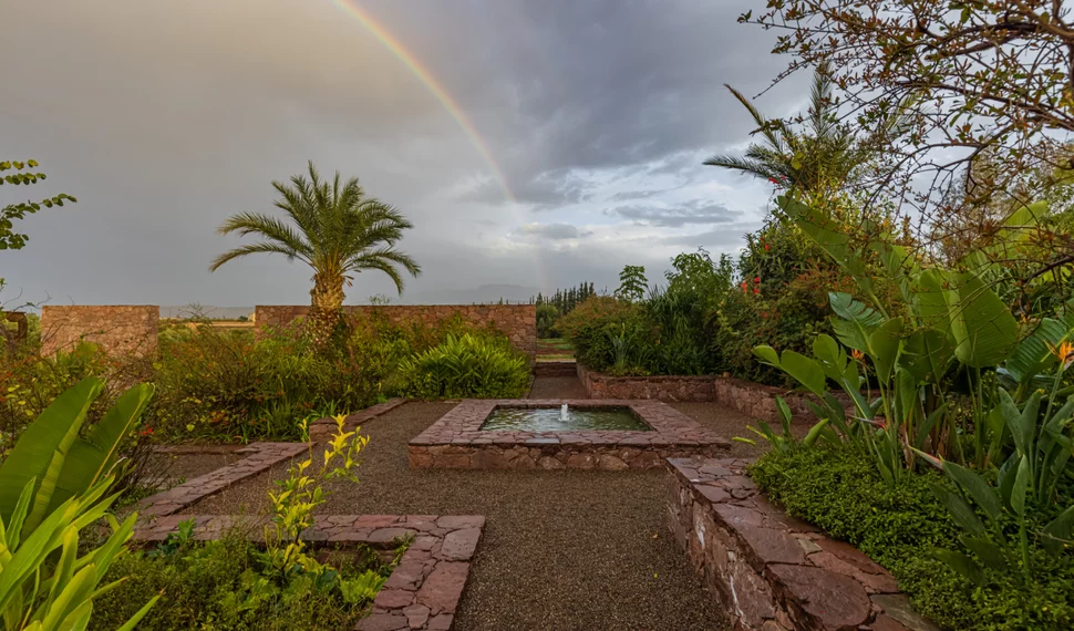 Garden with a fountain, palm tree, and a rainbow in the background.