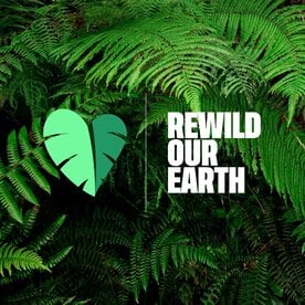 Green ferns with the text 'REWILD OUR EARTH' and a green leaf icon.