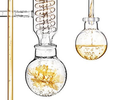 Glass laboratory equipment with a yellow flower inside and liquid being poured.