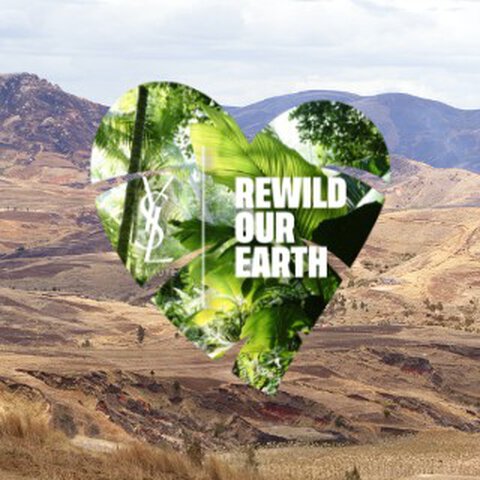 A heart-shaped graphic with the text 'Rewild Our Earth' over a natural landscape.