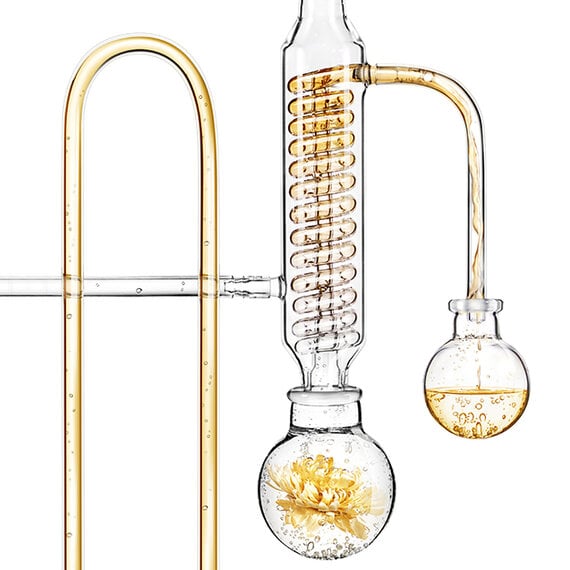 Glass distillation apparatus with a flower inside one of the bulbs.
