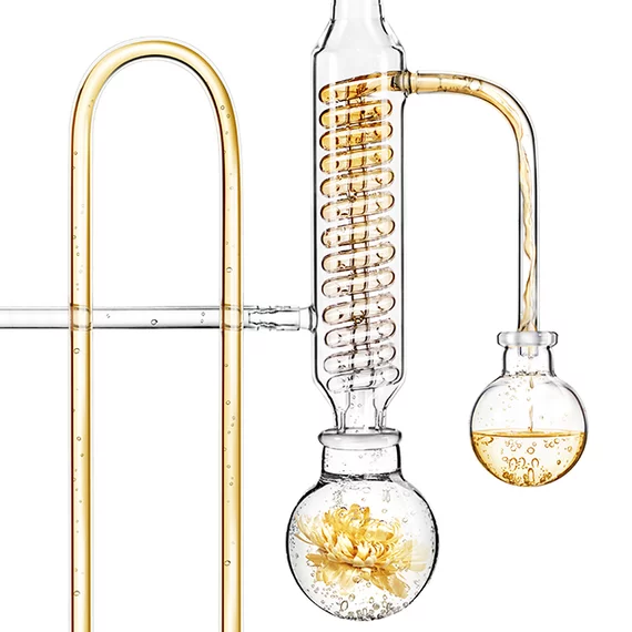 Glass distillation apparatus with a flower inside one of the bulbs.