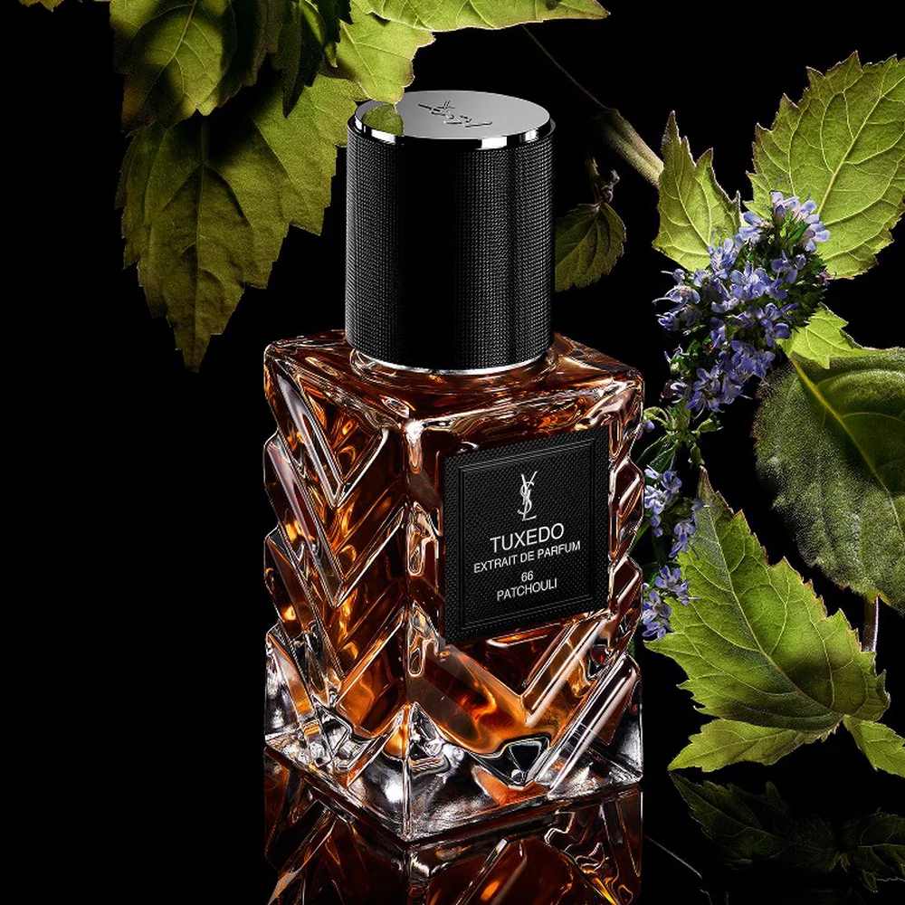 YSL LVDP Tuxedo Extrait de Parfum bottle, framed by lush green patchouli leaves and delicate purple flowers on black.