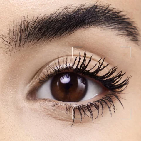 Eye