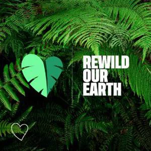 Text 'REWILD OUR EARTH' with a green heart and fern background.