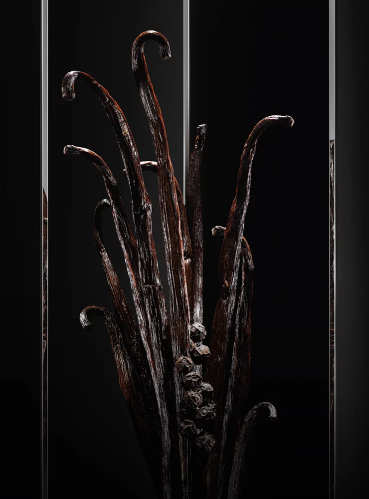 Close-up of vanilla beans with a dark background.