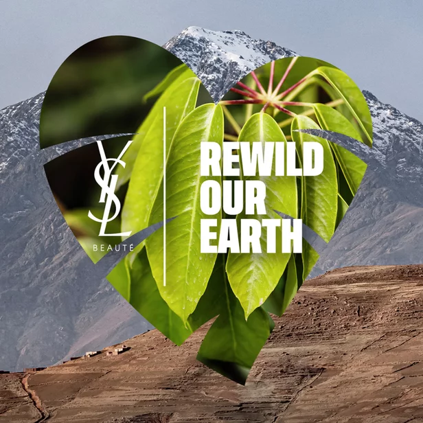 Heart-shaped cutout with green leaves and the text 'REWILD OUR EARTH' against a mountain background.