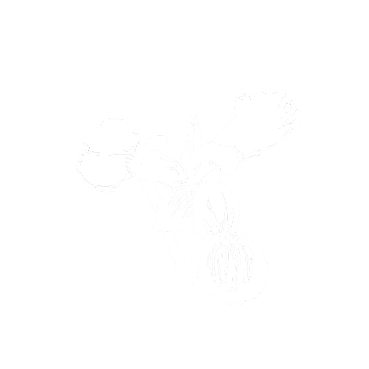 Elegant orris butter icon for CŒUR
Eau de Parfum by YSL, representing
the powdery heart notes of the scent.