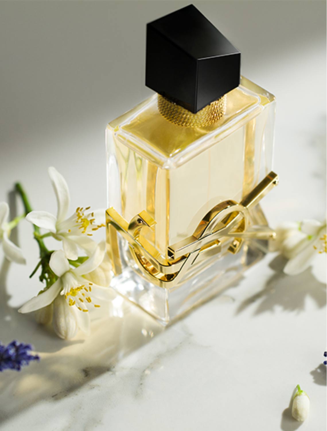 ysl libre perfume notes